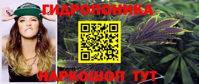 таблы Будённовск