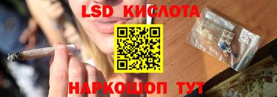 прущие грибы Бузулук